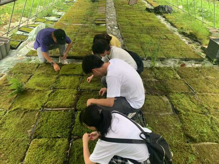 微信图片_20210729104733.jpg 微信图片_20210729104733.jpg